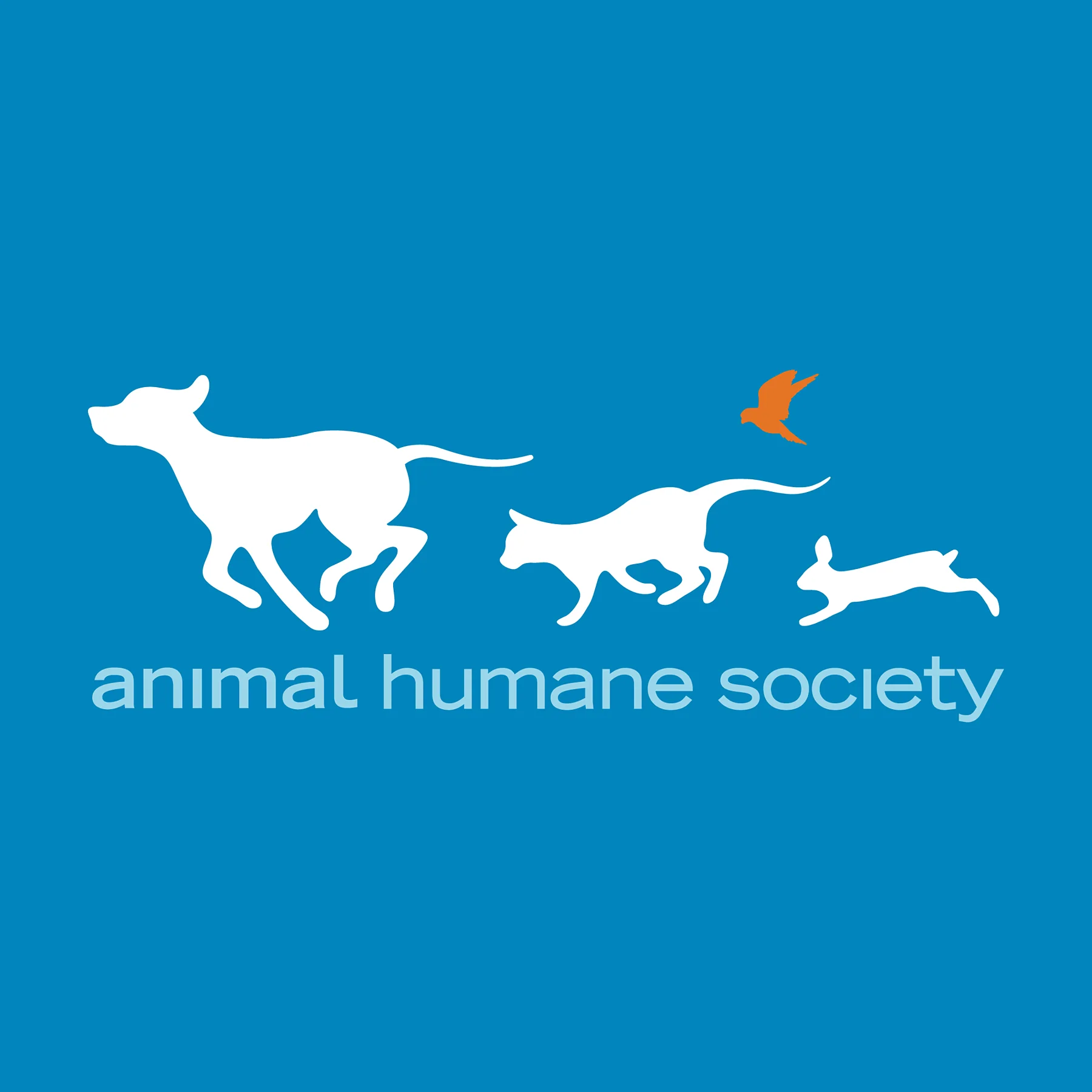 Animal Humane Society: Please help us make big hearts!
